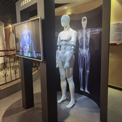 人体滑轨屏|人体血液循环滑轨屏|互动滑轨屏